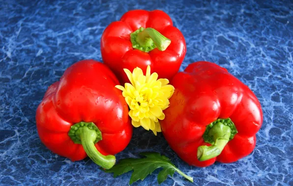 Flower, red, pepper