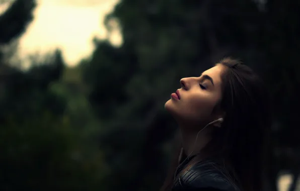 Girl, Sky, Brunette, Green, Forest, Sight