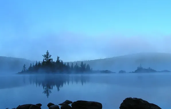 Picture water, trees, blue, fog, stones