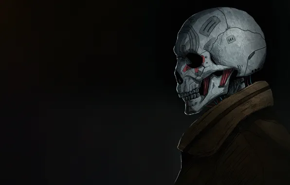 Minimalism, Skull, Art, Sake, Illustration, Concept Art, Bone, by Kota Kasahara