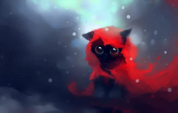 Eyes, look, snow, kitty, red, apofiss