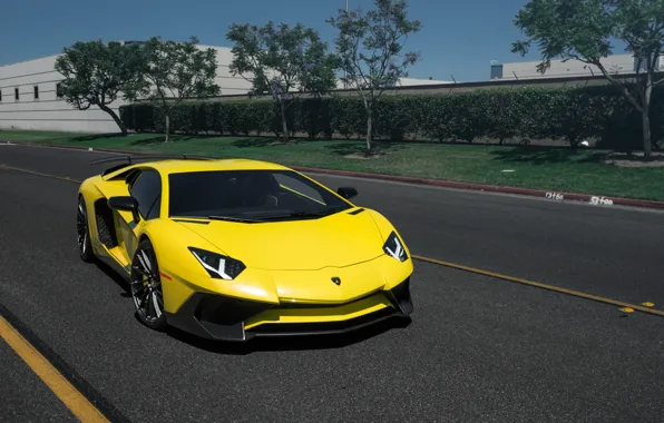 Picture Lamborghini, Aventador, Rotiform DVO