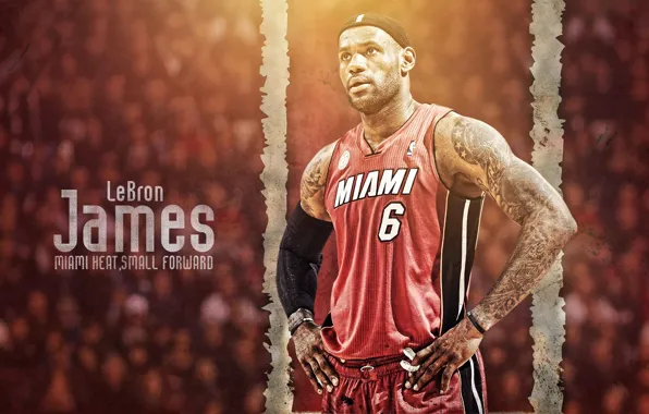Picture Basketball, Miami, NBA, NBA, LeBron James, LeBron James
