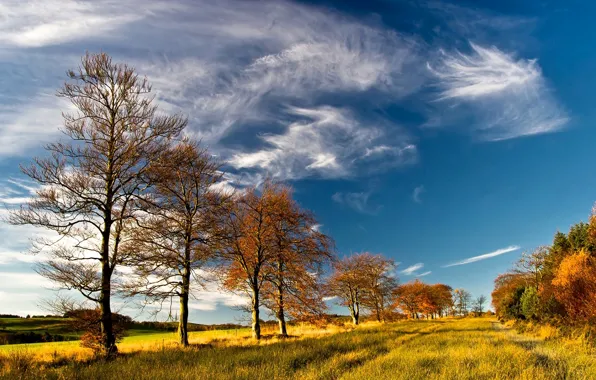 Picture autumn, forest, the sky, clouds, hills