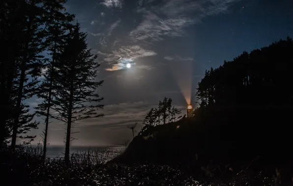 Sea, the sky, clouds, trees, night, rock, lighthouse, The moon