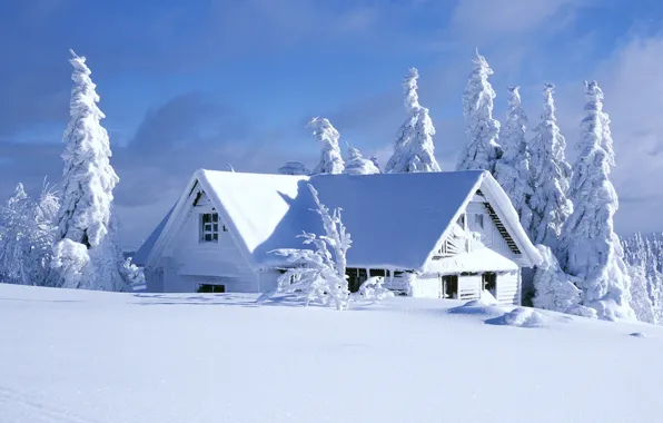 Picture winter, the sky, clouds, snow, trees, landscape, nature, house