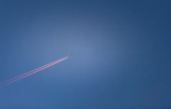 The sky, trail, the plane