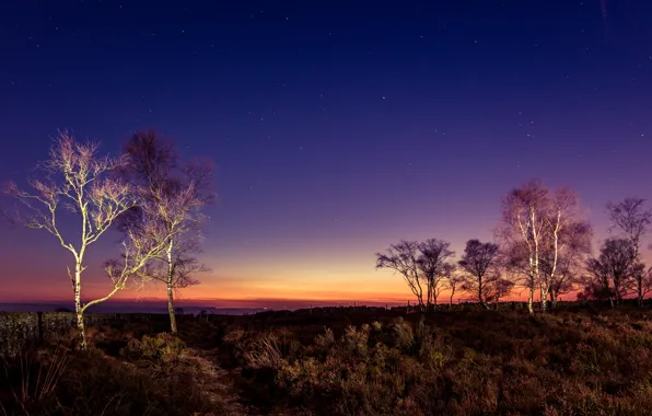 Picture the sky, trees, sunset, the evening, UK, Peak District