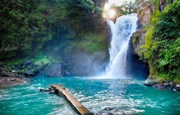 Picture water, waterfall, Bali, Tegenungan Waterfall, Tegenungan