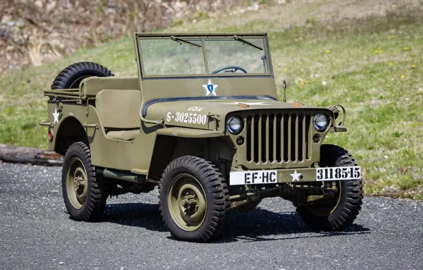 Jeep, the front, 1942, Jeep, Willys, Willis