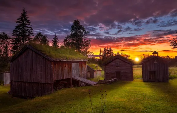 Picture field, sunset, houses