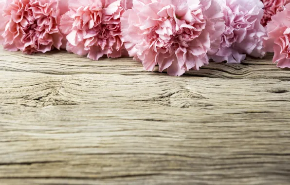 Flowers, petals, pink, wood, pink, flowers, beautiful, clove