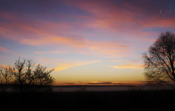 Clouds, trees, sunset, Russia, beauty is in simplicity, real, Altay, Khakassia