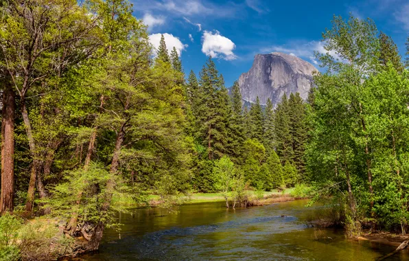 Picture the sky, clouds, trees, mountains, river