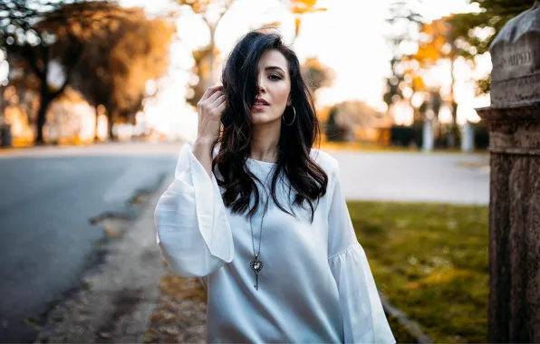 Look, girl, decoration, face, pose, hair, beautiful, bokeh