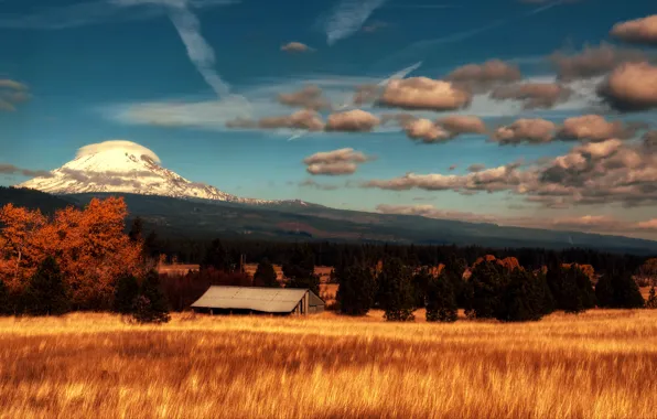 Field, the sky, clouds, trees, mountain, the evening, house