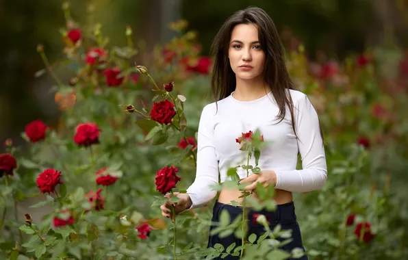 Look, Hair, Pose, Roses, Blouse