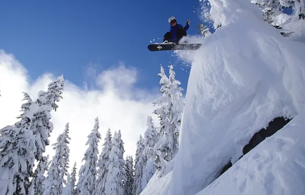 Snow, flight, snowboard, spruce, extreme