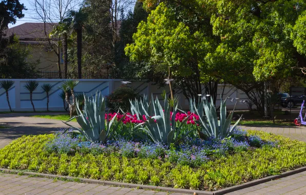 Trees, flowers, birds, house, the building, plants, pigeons, tulips