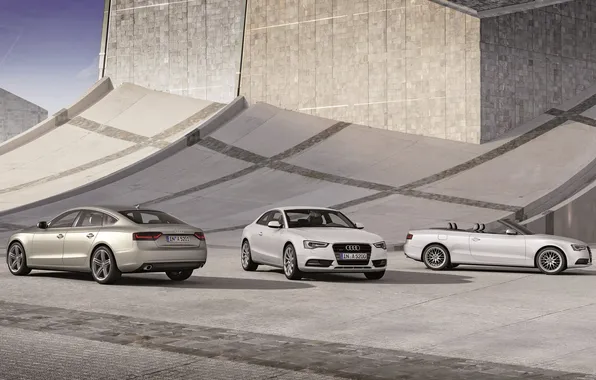 Picture Audi, Audi, Coupe, cabrio