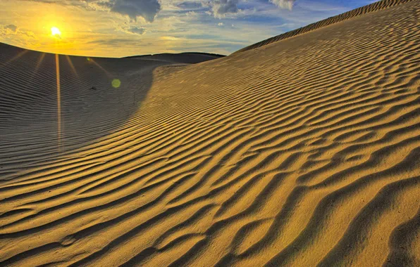 Sand, the sun, desert, dunes