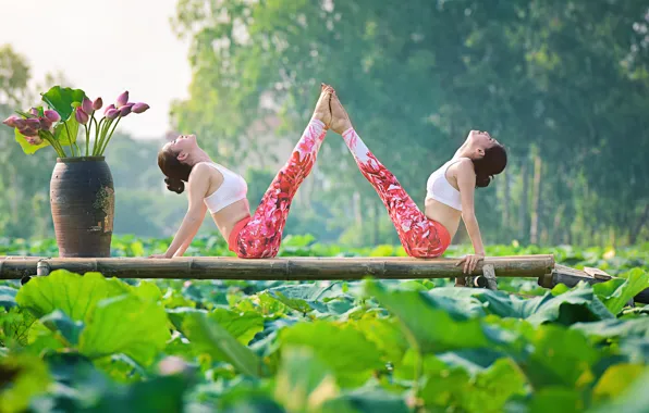 Summer, girl, flowers, nature, concentration, gymnastics, yoga, Asian