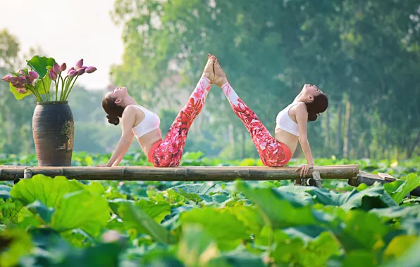 Summer, flowers, nature, girls, concentration, gymnastics, yoga, Asian girls
