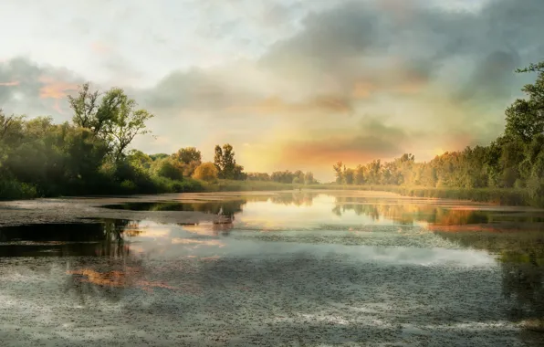 The sky, clouds, trees, lake, reflection, duckweed, frog city