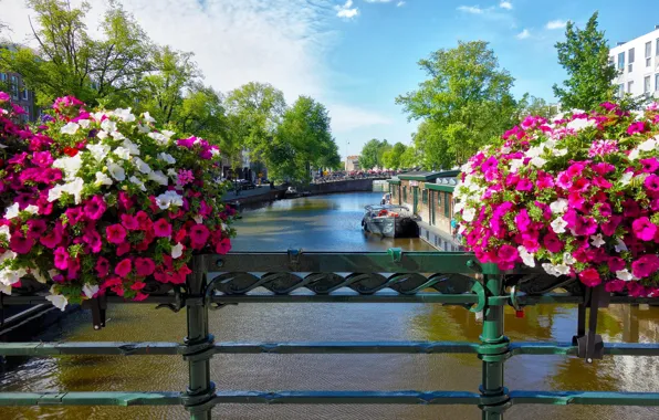 Picture flowers, bridge, the city, Amsterdam, channel, Netherlands, Holland