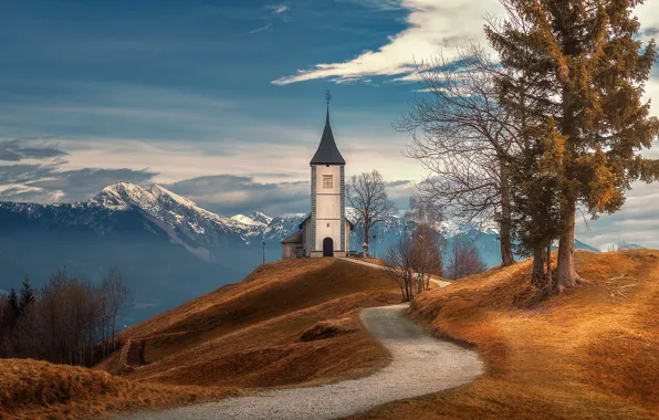 Picture road, trees, mountains, Church