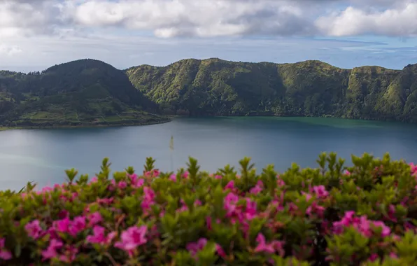 Clouds, flowers, mountains, lake, hills, shore, blur, dal