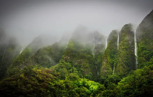Mountains, fog, vegetation, waterfall