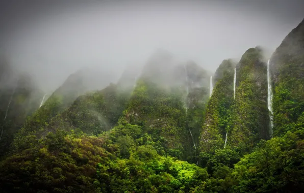 Picture mountains, fog, vegetation, waterfalls