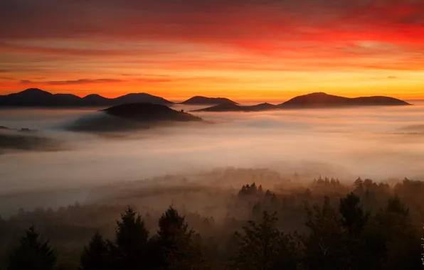 Forest, clouds, mountains, dawn