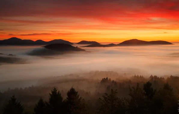 Picture forest, clouds, mountains, dawn