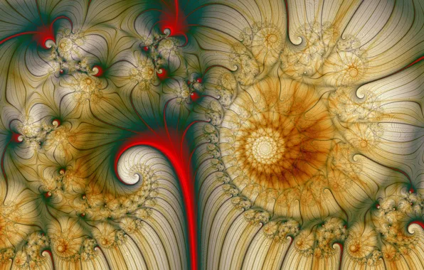 Pattern, color, spiral, fractal
