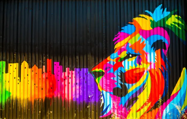 Picture color, paint, graffiti, the fence, Leo