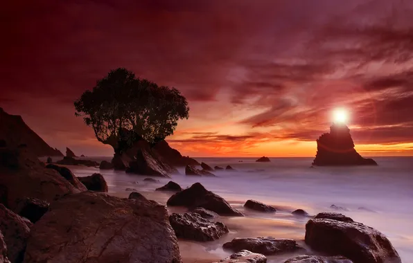 Sea, clouds, light, sunset, stones, tree, rocks, shore