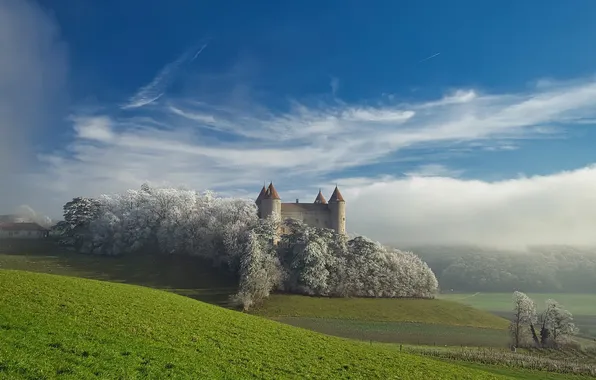 Field, fog, castle