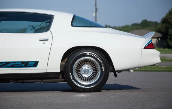 Camaro, chevrolet, z28, 1979