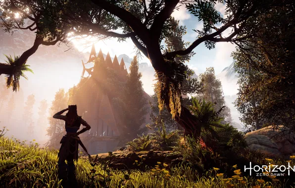 Ps4, horizon zero dawn, aloy