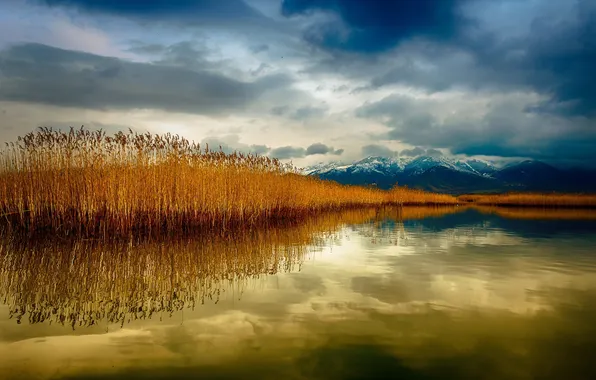Landscape, mountains, lake, reed