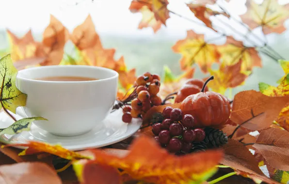 Autumn, branches, berries, tea, the tea party, Cup, pumpkin, Kalina