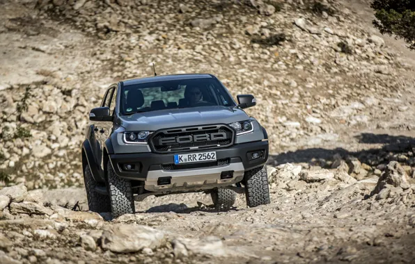 Picture stones, grey, Ford, front view, Raptor, pickup, Ranger, 2019