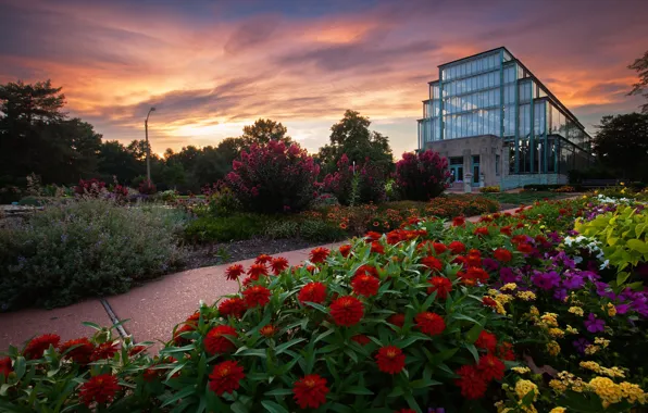 Sunset, flowers, the city, Park, the building, the evening, yellow, track