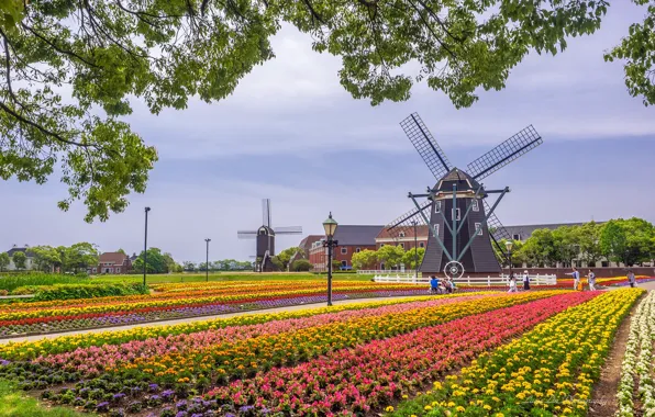 Picture flowers, branches, Park, Japan, mill, Japan, Sasebo, Huis Ten Bosch Park