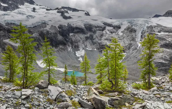 Picture Colorado, USA, lake Ouzel, North Cascade