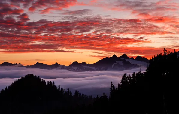 Forest, the sky, mountains, Oregon, USA, zakt, Michael Light Photography, the mountainous state