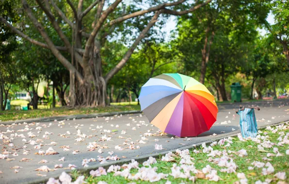 Summer, Park, umbrella, colorful, rainbow, summer, umbrella, park