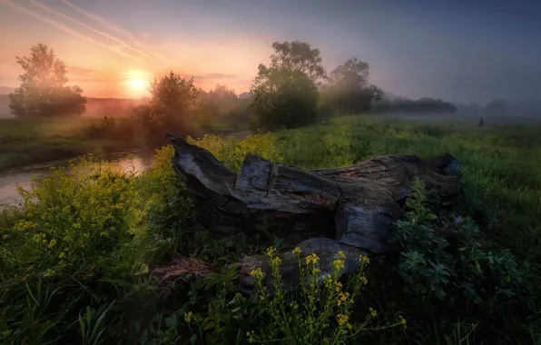 Picture summer, the sun, rays, trees, sunset, nature, river, Russia